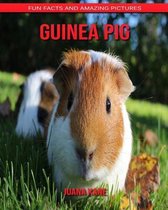 Guinea Pig