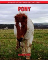 Pony