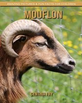 Mouflon