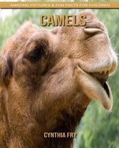 Camels