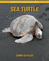 Sea turtle