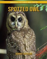 Spotted Owl