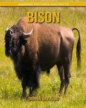 Bison