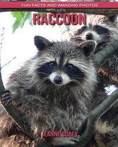 Raccoon