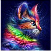 Diamond Painting kleurrijke kat 25x25 cm (zonder frame)