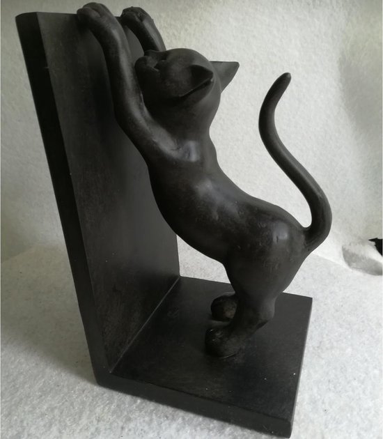 Maddeco Polystone Serre Livres Chat Bol Com