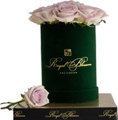 Green velvet Flowerbox - VERSE roze rozen van Royal Blossom - Geschenk/Cadeau/Gift