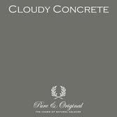 Pure & Original Fresco Kalkverf Cloudy Concrete 2.5 L