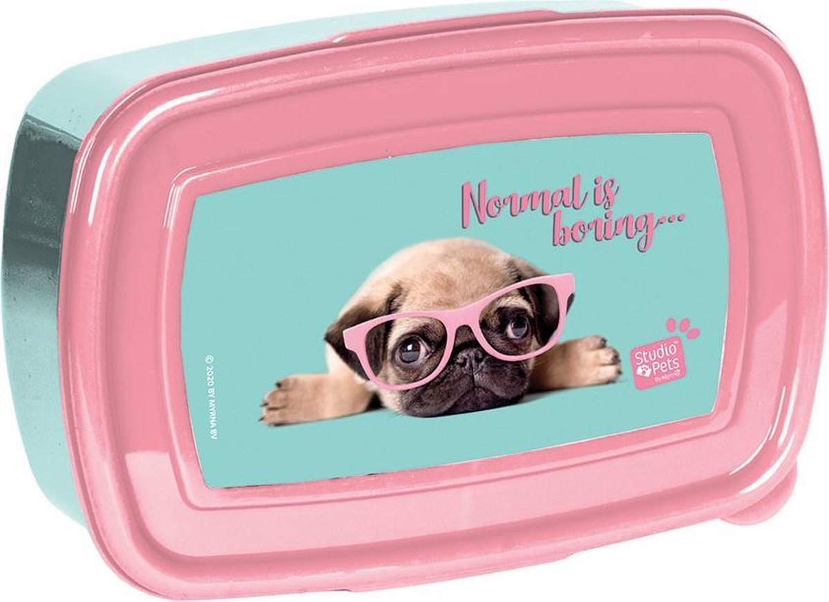 Studio Pets Normal is boring - Lunchbox - 18 x 12 x 6 cm - Multi