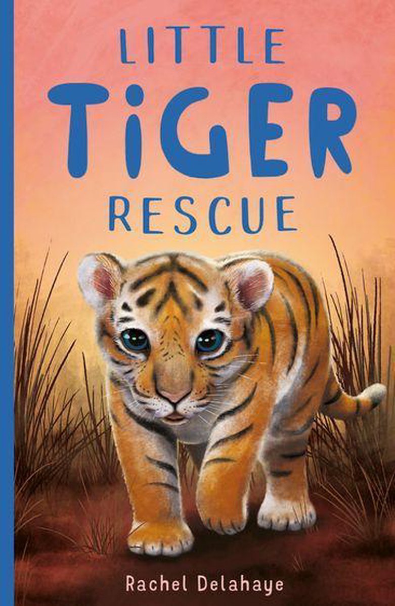 Little Animal Rescue 4 - Little Tiger Rescue - Rachel Delahaye