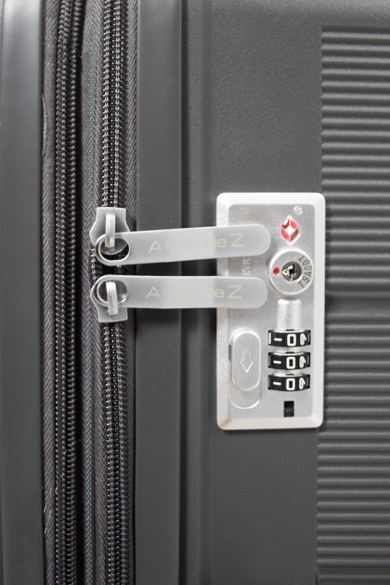 Étui de voyage Attitudez EliteZ Gris Medium