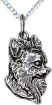 Chihuahua langhaar kop -merk COOLDOG™ in massief Zilver inclusief ketting