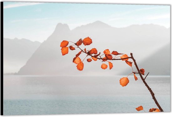 Dibond -Oranje Tak bij Zee en Bergen- Foto op Aluminium (Wanddecoratie van metaal)