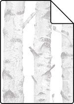 Proefstaal ESTAhome behangpapier berken boomstammen zilver en wit - 138944 - 26,5 x 21 cm