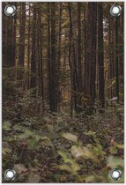 Tuinposter –Bos vol Hoge Bomen– 100x150cm Foto op Tuinposter (wanddecoratie voor buiten en binnen)