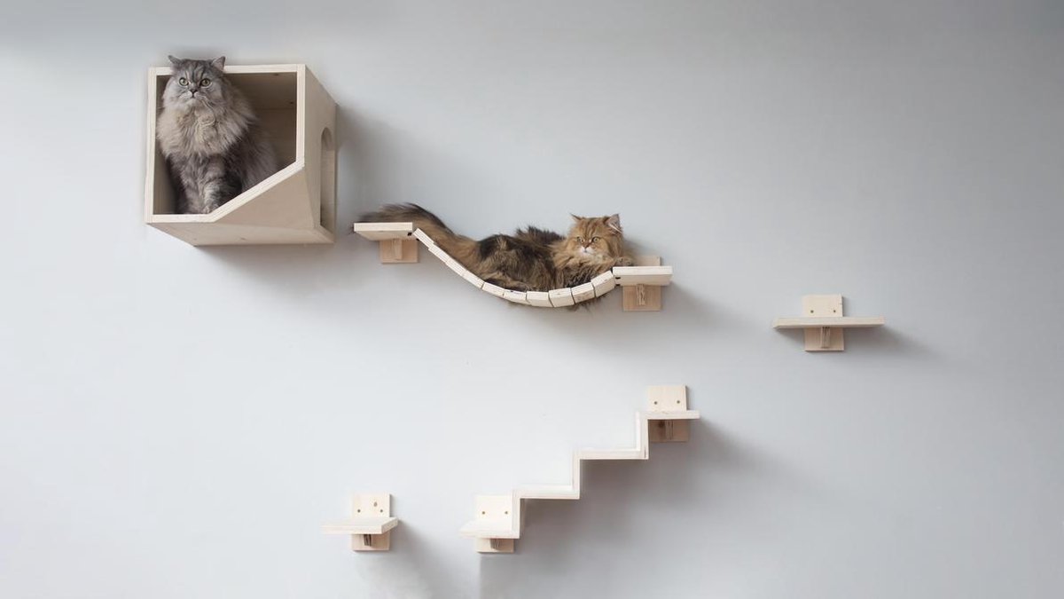 bevind zich Hong Kong regeling Plankjes voor de kat - kattenplankjes - muurplankjes - klimmuur kat -  katten klimmuur... | bol.com