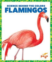 Science Behind the Colors- Flamingos