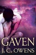 The Gaven Series 1 - Gaven