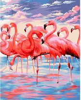 Wizardi Paint by Numbers | Pink Lake - H112