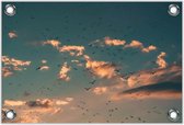 Tuinposter –Vogels in de Lucht– 90x60 Foto op Tuinposter (wanddecoratie voor buiten en binnen)