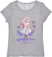 Disney Frozen 2 - t-shirt - grijs -maat 116
