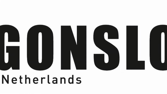 Dragonslock Velgenslot - Wielslot Set Hyundai Tucson Vanaf 2015 - Verzinkt - Beste Keus