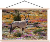 Sweet Living Poster - Oryx - 90 X 150 Cm - Multicolor