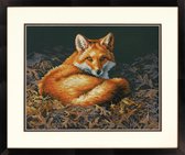 Dimensions Sunlit Fox borduren (pakket)
