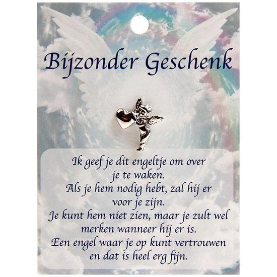 Bol Com Beschermengel Op Pin Silver Plated Bijzonder Geschenk