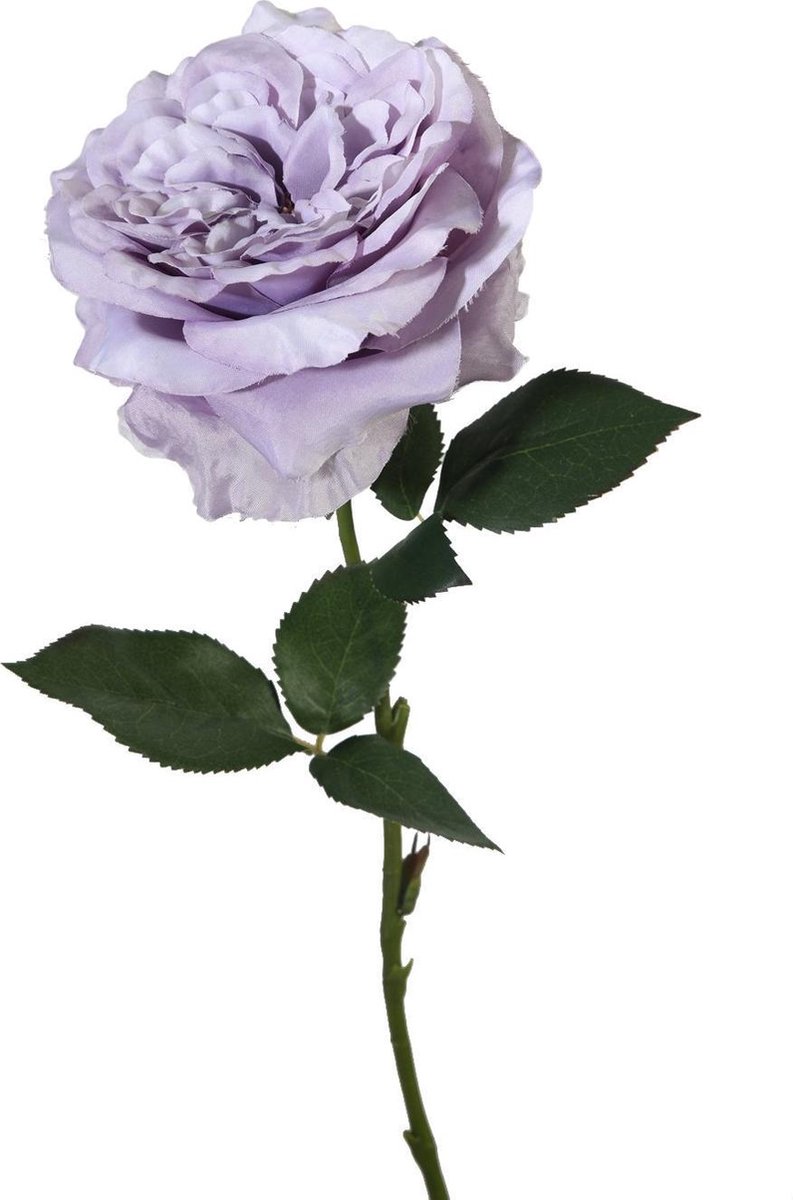 Viv! Home Luxuries Engelse roos - zijden bloem - lila paars - 60cm