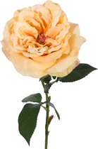 Viv! Home Luxuries Engelse roos - zijden bloem - perzik zalm - topkwaliteit