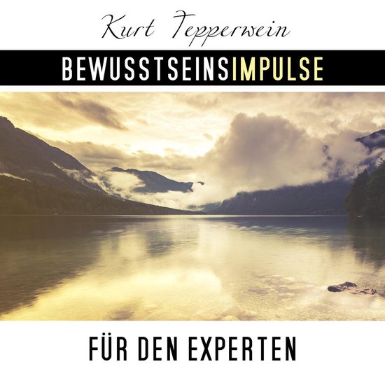 Bewusstseinsimpulse für den Experten - cover