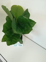 Kunstplant met grote bladeren + bloempotje - 2 stuks