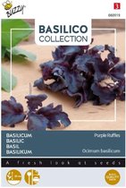 Buzzy® Basilicum Purple Ruffles