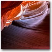 MN Collections - Schilderij - Nature Photography. - Geel, Rood En Oranje - 70 X 70 Cm