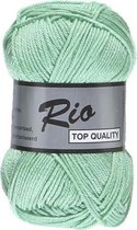 Lammy yarns Rio katoen garen - mint groen (841) - naald 3 a 3,5mm - 10 bollen