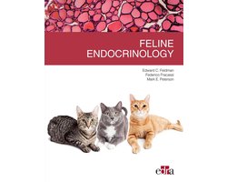 Feline endocrinology