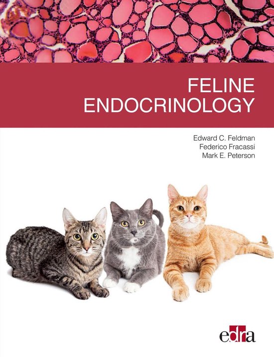 Feline endocrinology - cover
