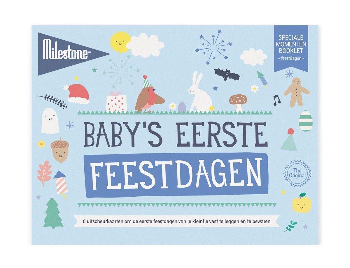 Goedkoopste Milestone Mijlpaalkaarten Eerste Feestdagen (nl) 10x15 Cm Papier 6 Stuks