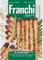 Franchi -  Haver Wortel scorzobianca 123/2