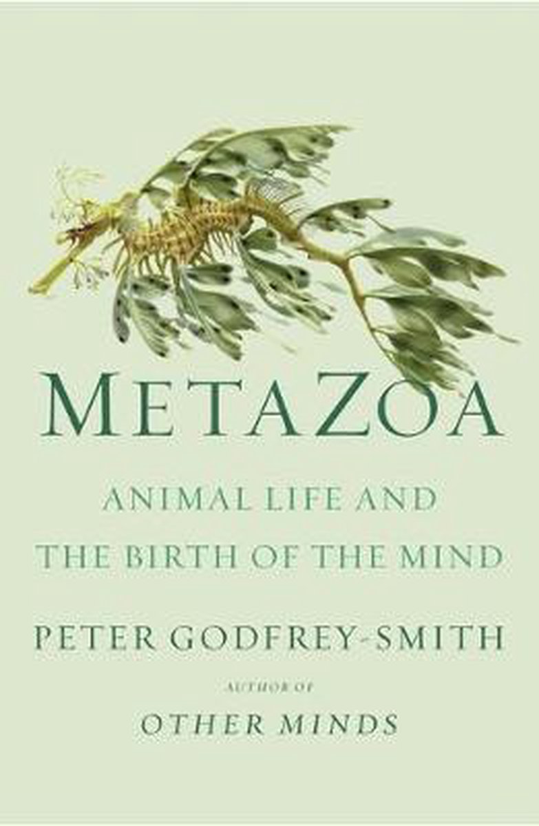 Metazoa Animal Life and the Birth of the Mind - Peter Godfrey Smith