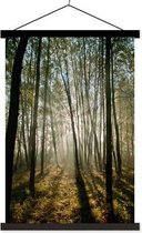 Schoolplaat Sunrise Forest - 60xH90 cm