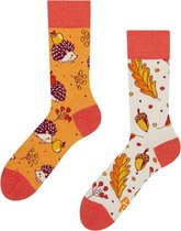 Good Mood Sokken - Herfst Egel - Unisex Maat 35-38