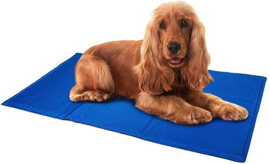 Koelmat Hond - Zelfkoelende Blauwe Mat - Opvouwbaar - 40 x 50cm - Afkoeling  voor... | bol.com