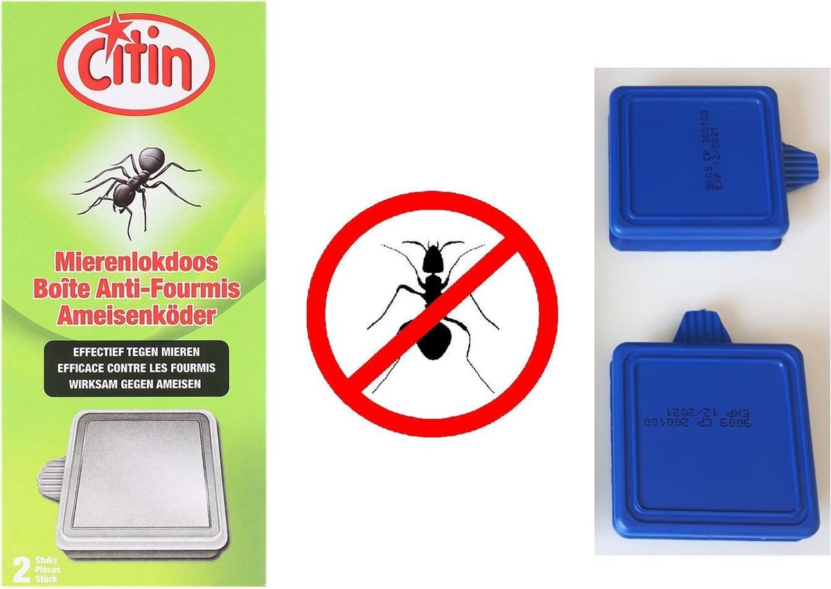 Boîte d'appât pour fourmis - Lutte antiparasitaire - Lutte contre les  fourmis - Ant poison | bol