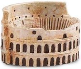 Colosseum Junior 5 Cm Bruin