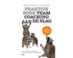 Praktijkboek teamcoaching, aan de slag
