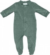 Witlof for Kids - Boxpakje Corduroy - Boxpakjes - Green -