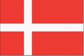 Deense vlag 70x100cm - Spunpoly
