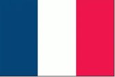 Franse vlag 30x45cm